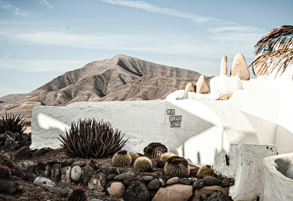 Lanzarote arquitectura inédita: un recorrido por sus joyas ocultas brown pine cone on white concrete wall