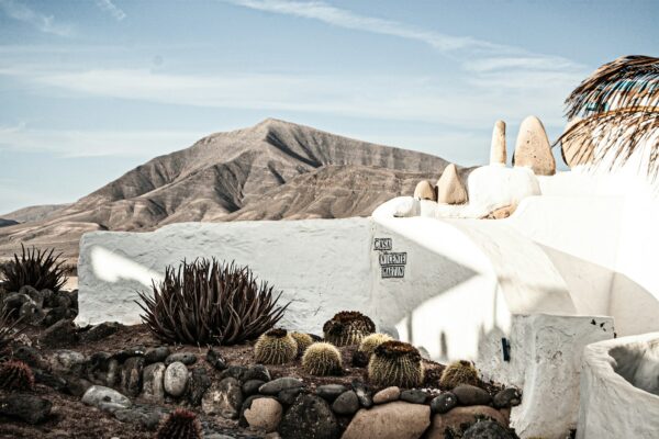 Lanzarote arquitectura inédita: un recorrido por sus joyas ocultas brown pine cone on white concrete wall